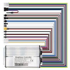 Kit électronique GT100 36/60V 25A 500W