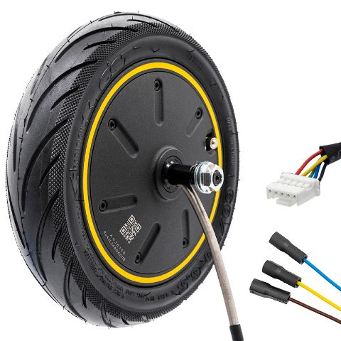 Moteur 36V 350W 6,5/B50 Ninebot G30 / G30P [Ninebot]