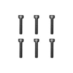 Vis jantes moteurs Dualtron sauf Mini X6 pcs